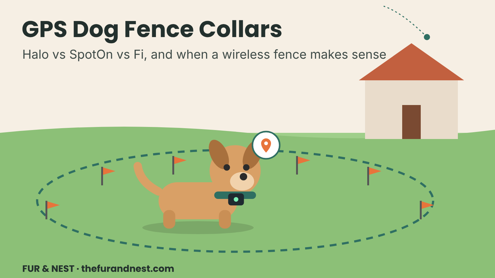 A dog wearing a smart GPS collar standing on a lawn with a dotted virtual boundary line drawn around the yard