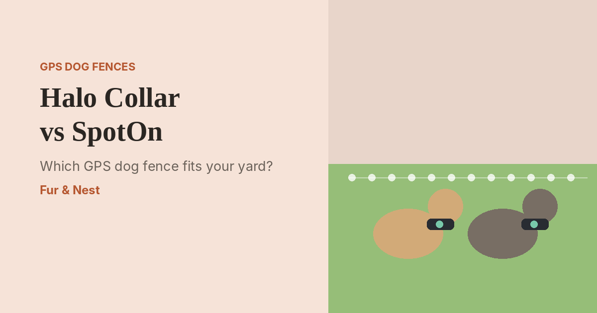 Two dogs in GPS fence collars standing on a green lawn with a dotted virtual boundary line around the yard